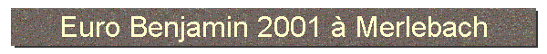 Euro Benjamin 2001  Merlebach
