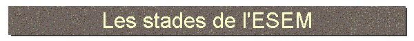 Les stades de l'ESEM